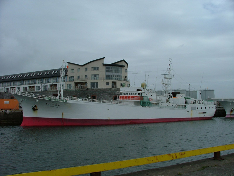 Chiyo Maru